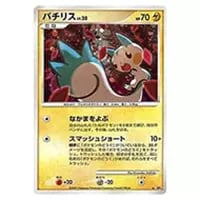 チリ SAR [レイジングサーフ] SV3a 088/062 買取 | ポケモンカード買取