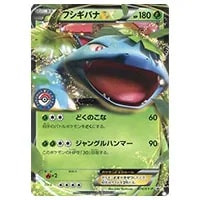 フシギバナEX 074/XY-P 買取 | ポケモンカード買取ならもえたく！