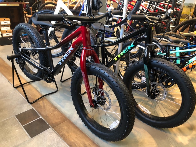 限定モデル キッズバイク「ROSCOE20」 | 宇品店 | バイシクルネコ