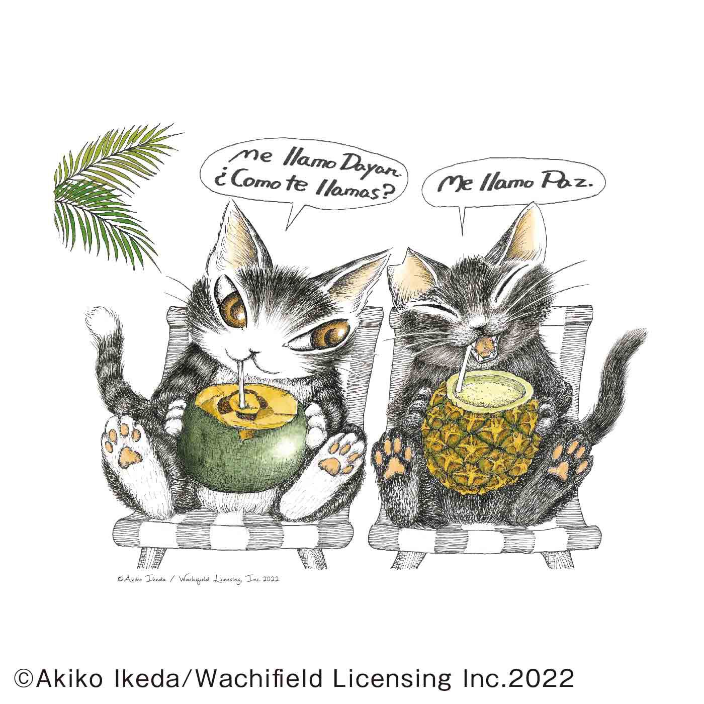 絵本作家 池田あきこ原画展 猫のダヤン40周年「ダヤンの不思議な旅