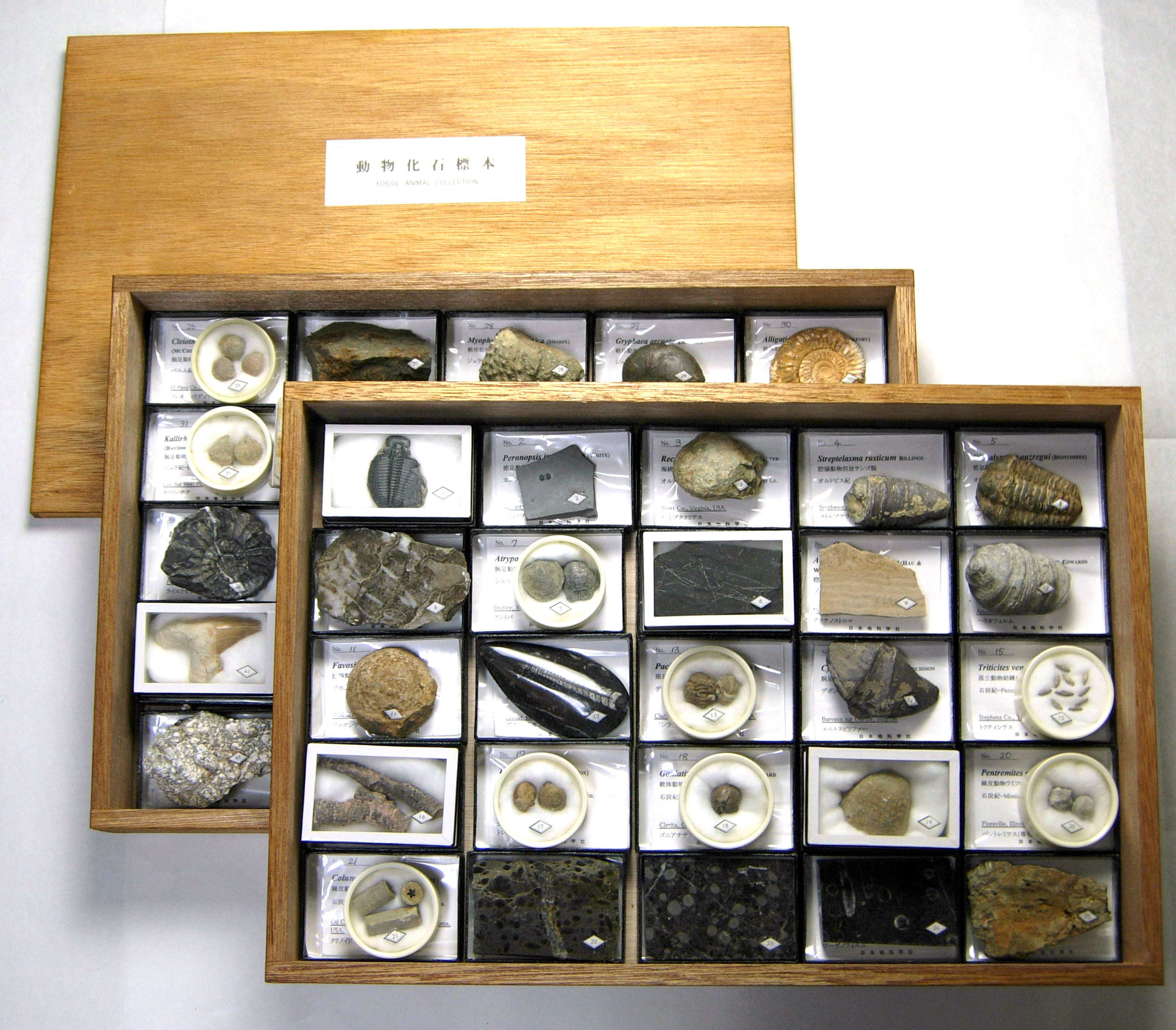 株式会社ニチカ 地質科学の専門商社