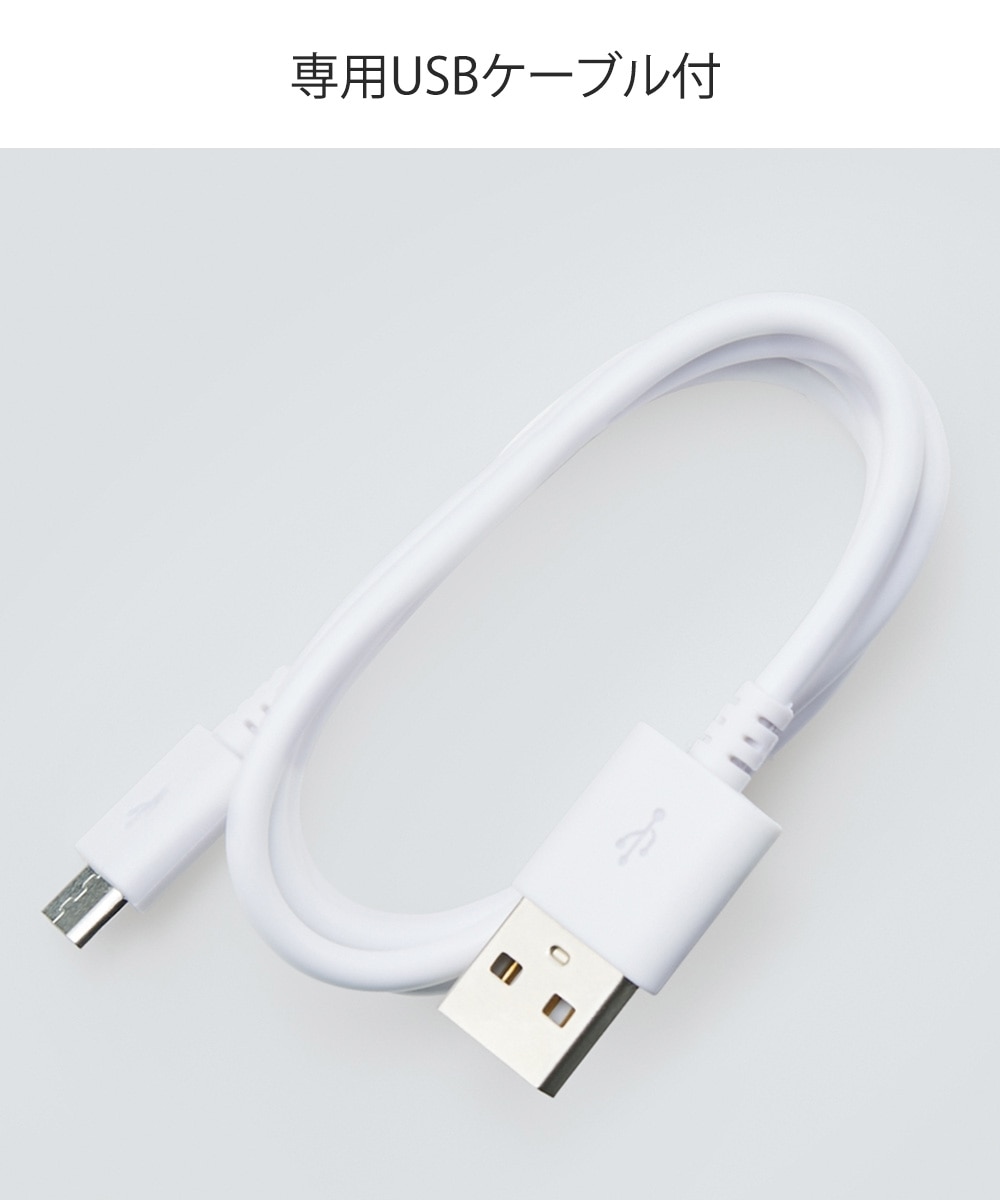 FESTINO 充電式フェイシャルスキントリートメント＜SMHB-022＞ 通販