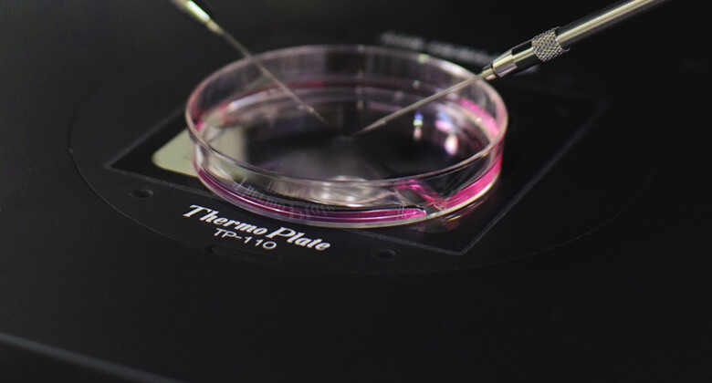 不育症検査 | 不妊治療は大阪府豊中市の園田桃代ARTクリニック | 女医専任