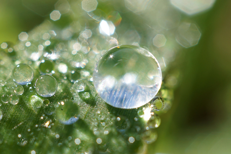 もっと大きく、もっとふんわり。印象的な写真、手軽に撮ってみませんか