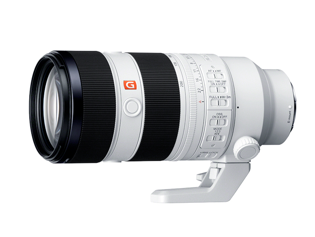 FE 70-200mm F2.8 GM OSS II 撮影サンプル | デジタル一眼カメラα