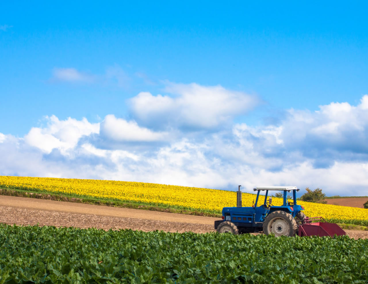 佐藤産業株式会社