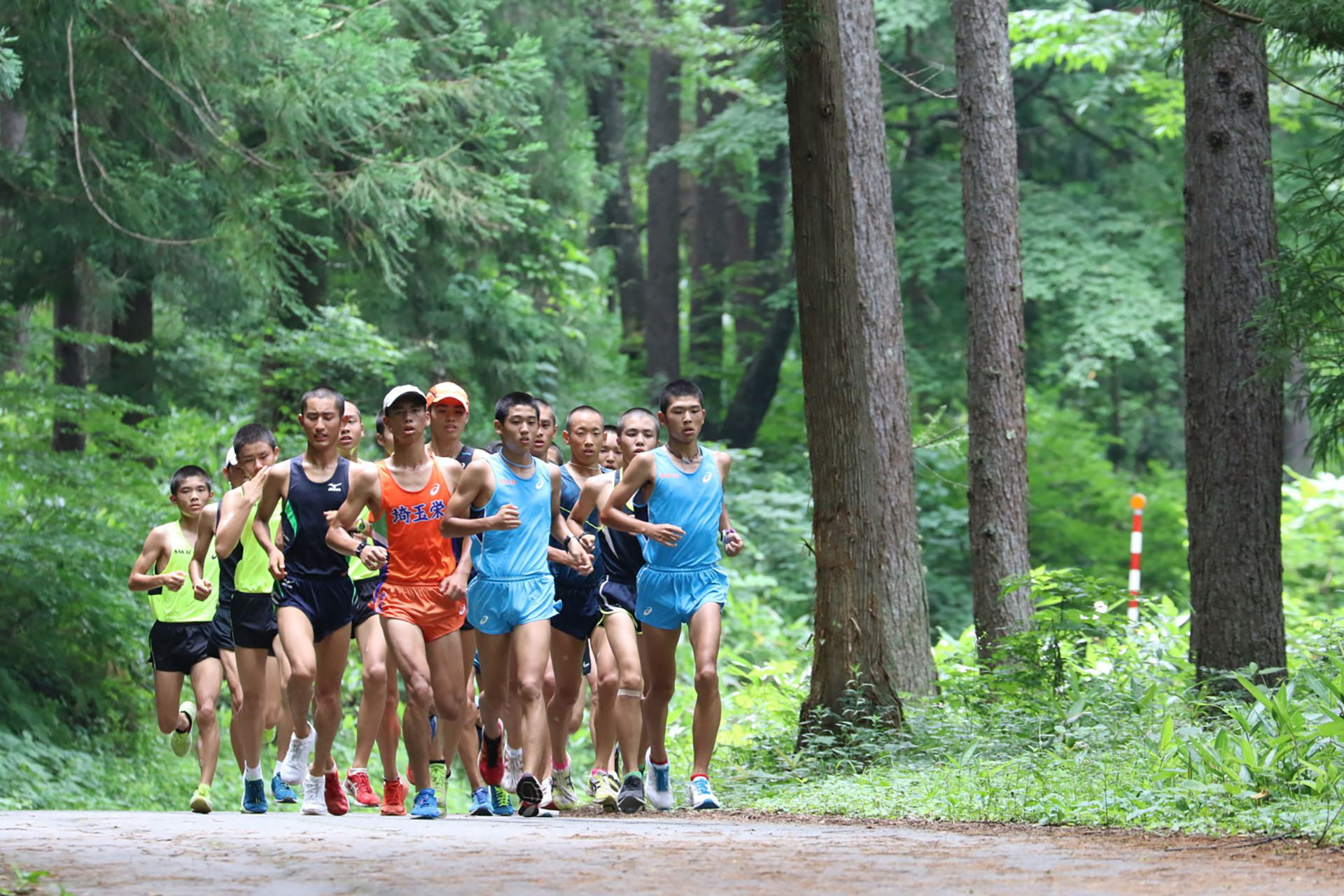 埼玉栄高等学校 男子駅伝部
