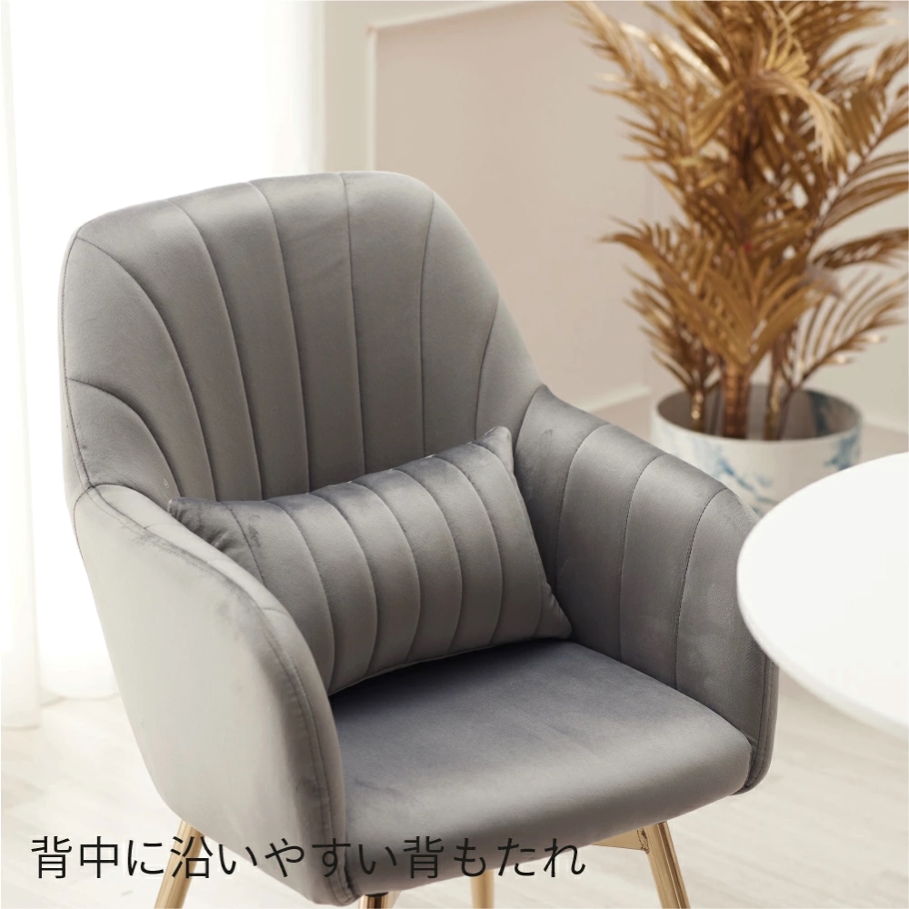 WEB限定】 ASHEL jelis ダイニングチェア 金脚 ラテベージュ(ラテ