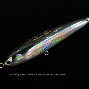 Inshore Archives - Saltywater Tackle Inc.