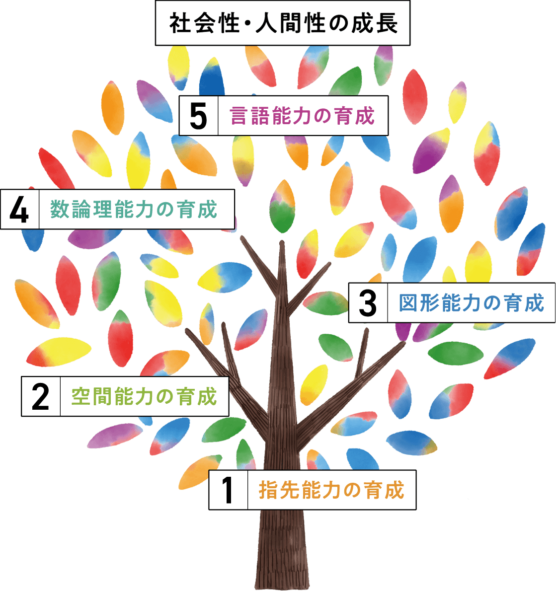 幼児英才教育ピグマリオン】小3までに高い創造力と中学校レベルの数学