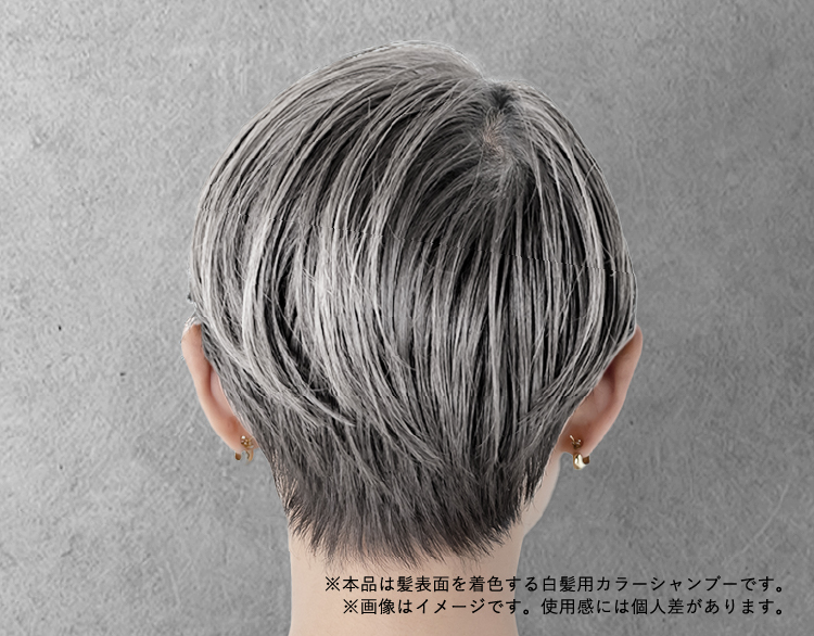 利尻ヘアカラー・無添加化粧品 自然派clubサスティ［白髪用］利尻炭酸