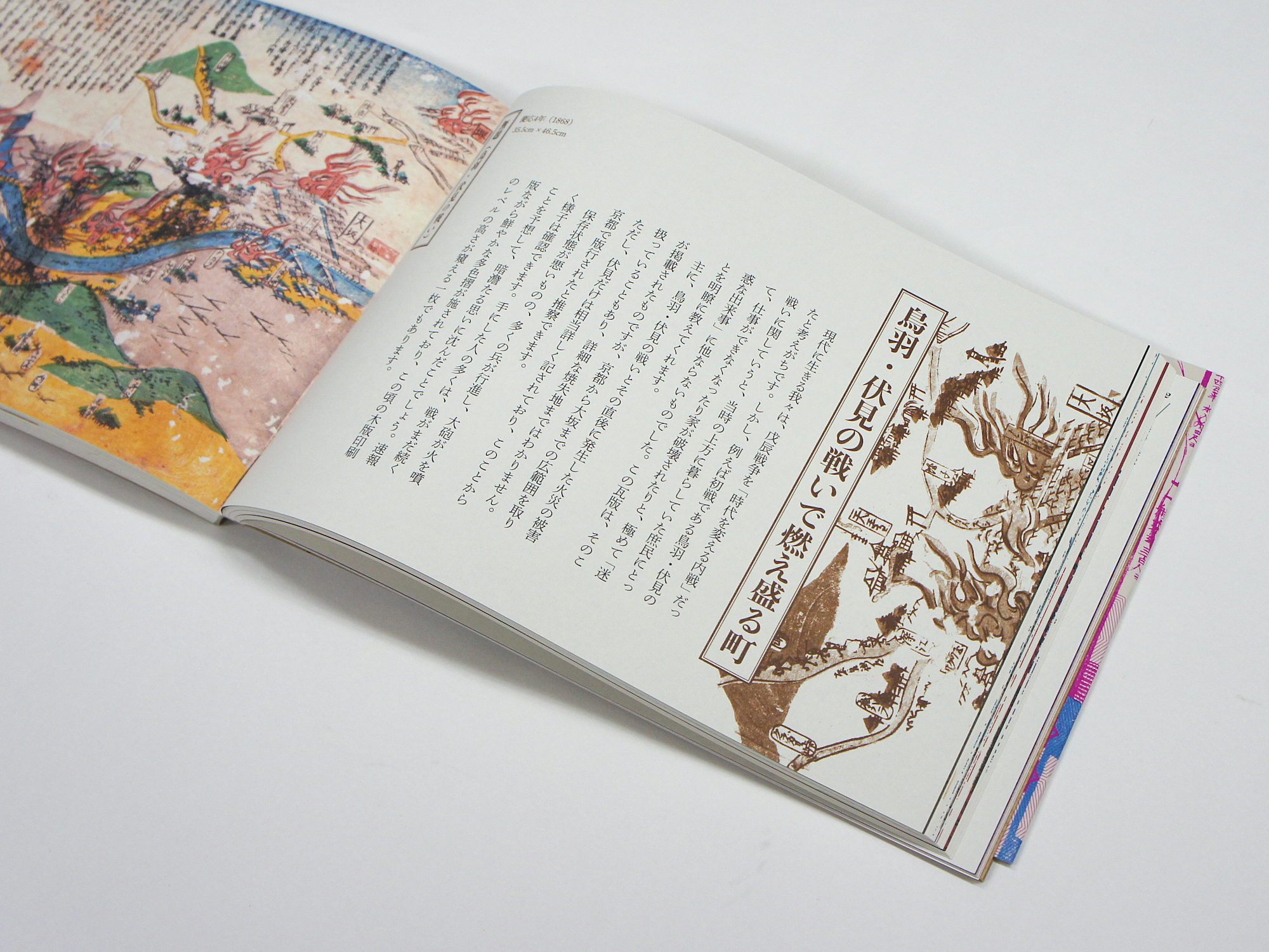 奇妙な瓦版の世界 江戸のスクープ大集合｜青幻舎 SEIGENSHA Art