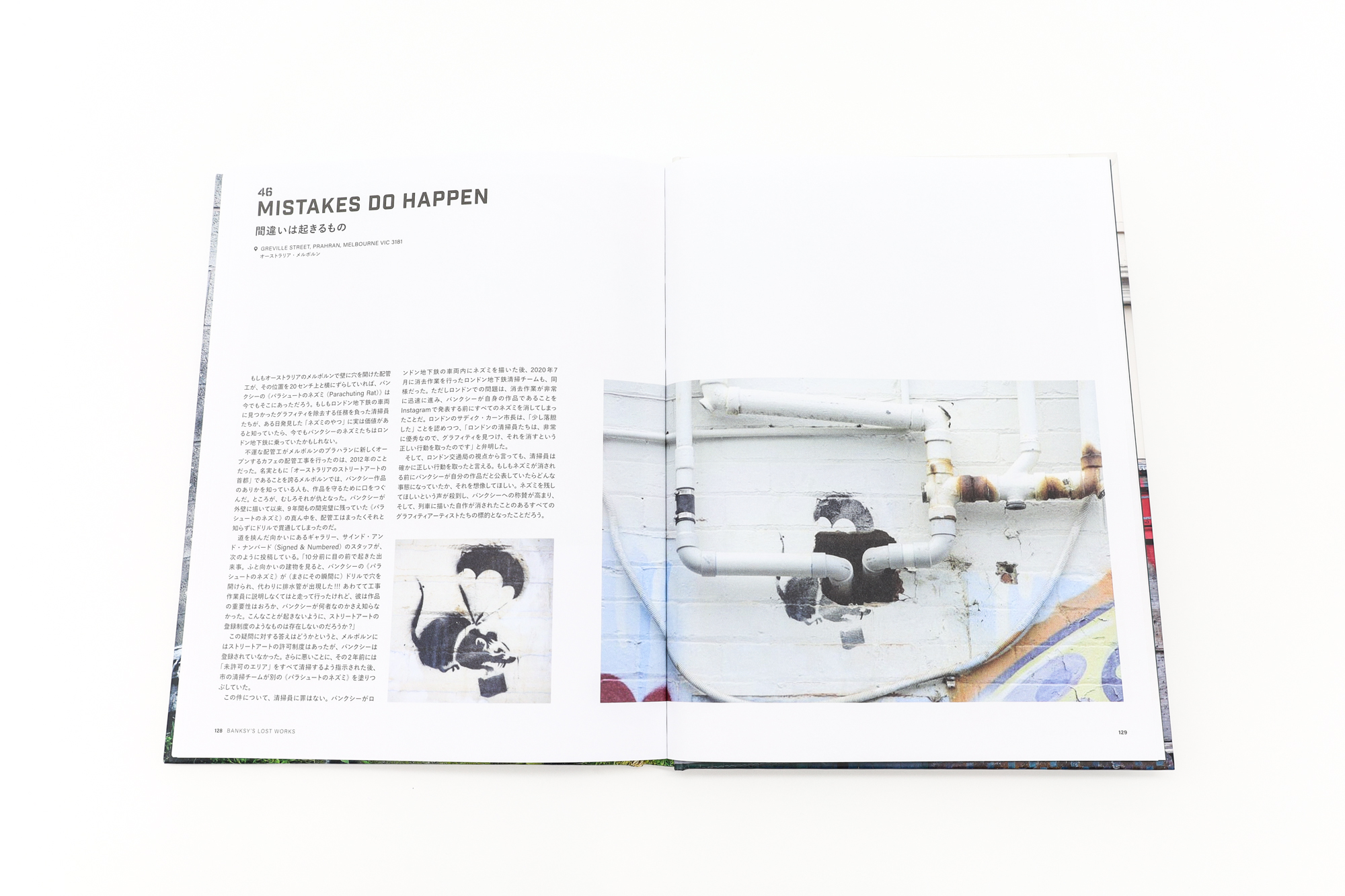 失われたバンクシー あの作品は、なぜ消えたのか｜青幻舎 SEIGENSHA