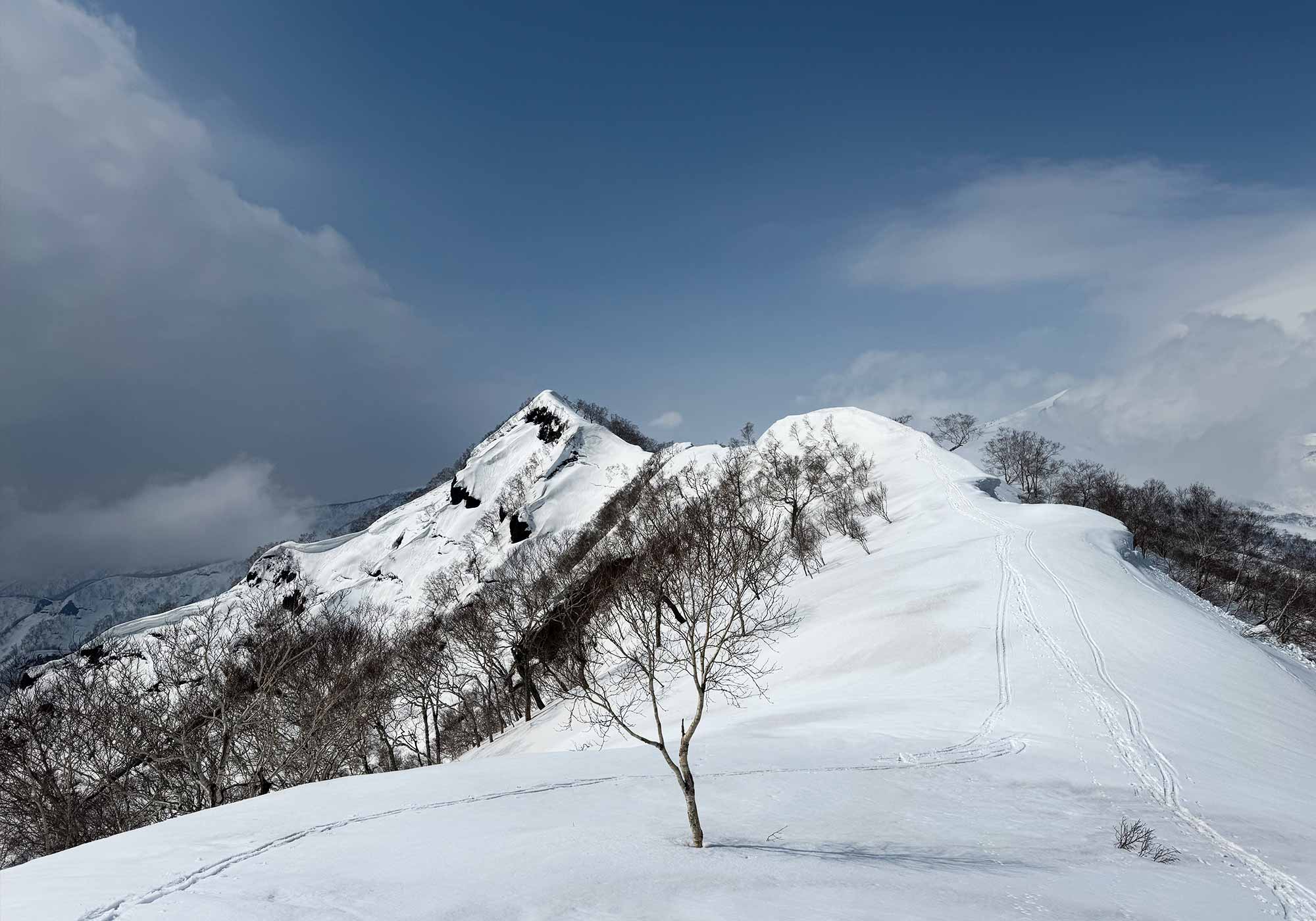 ホーム - 秀岳荘