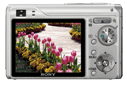 The Sony Cyber-shot DSC-W200 12.1-Megapixel Pocket Camera; Taking