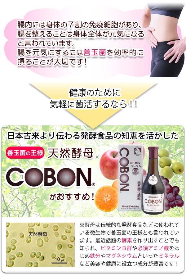 12本セット】コーボンマーベル（525ml）酵母 ダイエット コーボン