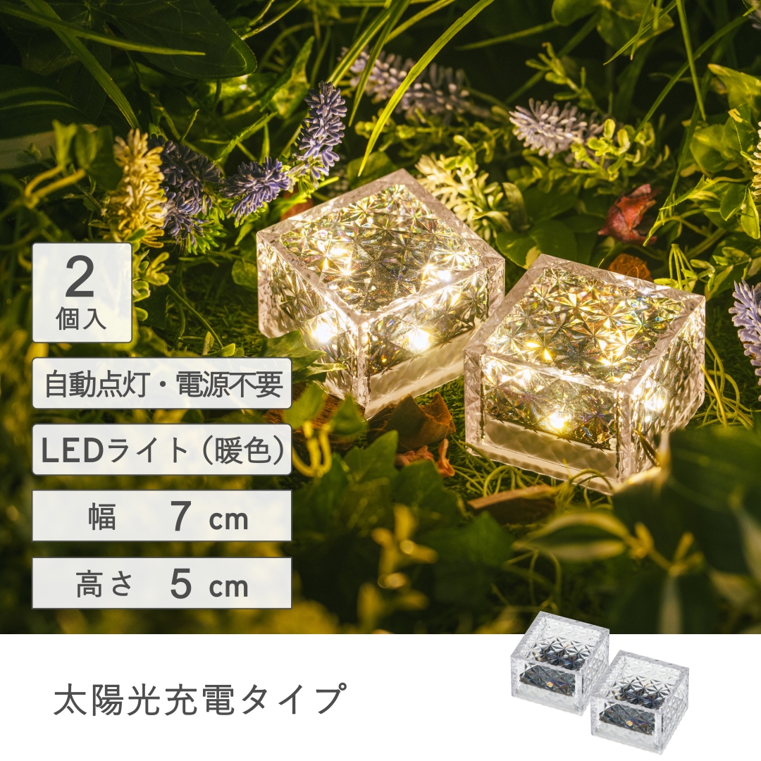 アイスブロック 2個セット: アウトドア