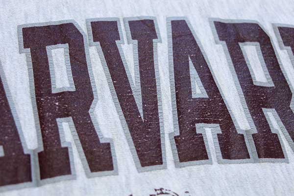 90s USA製 Championチャンピオン HARVARD ビッグロゴ ひび割れプリント