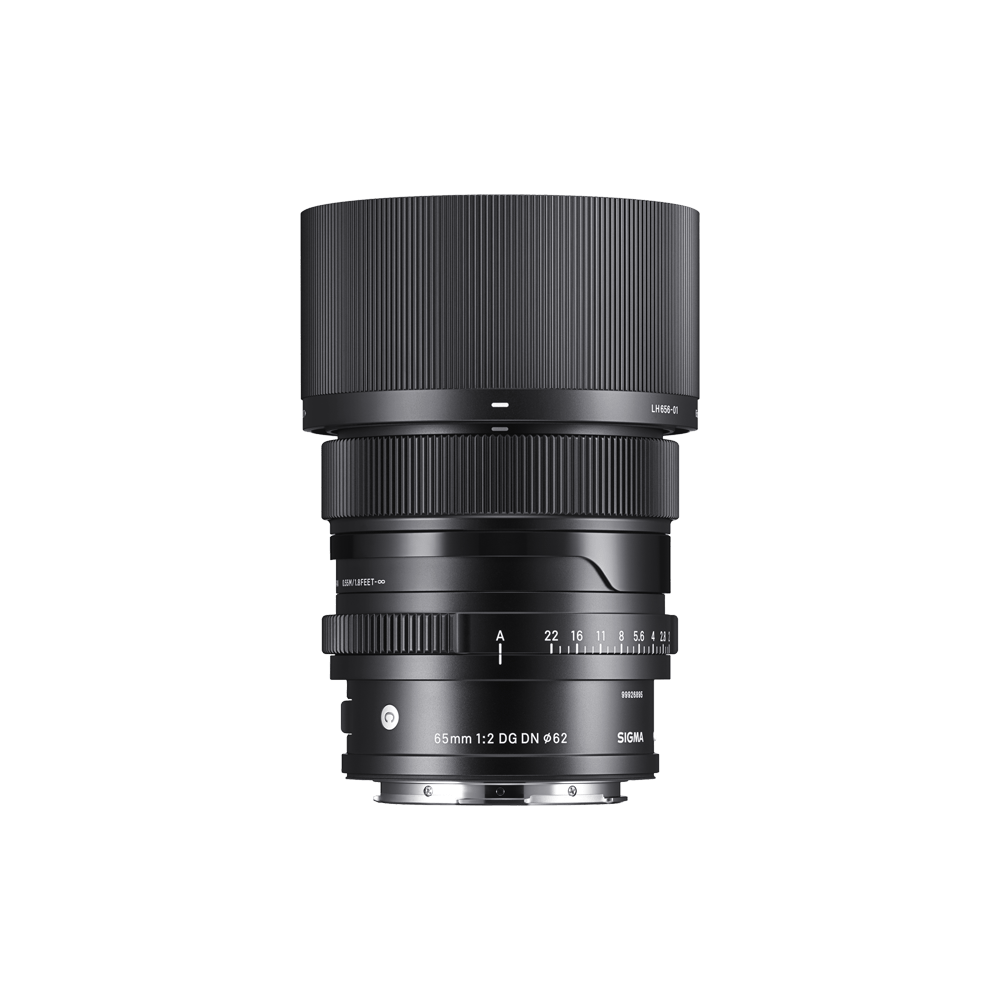 65mm F2 DG DN | LENSES | Sigma