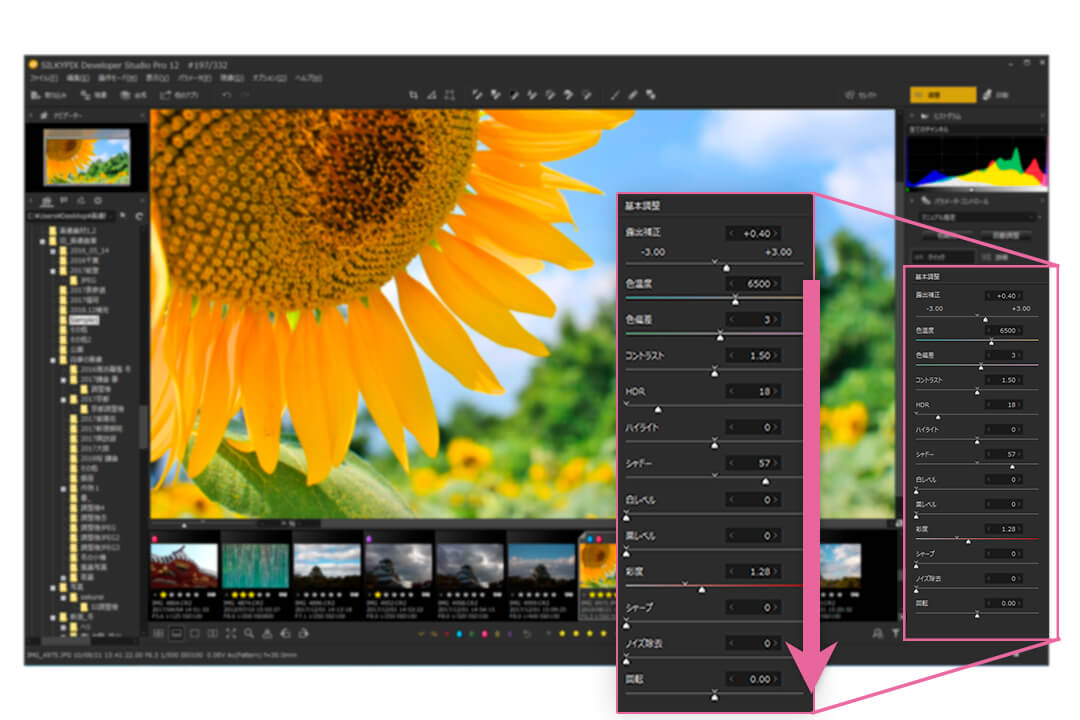 SILKYPIX Developer Studio Pro12 | SILKYPIX.COM