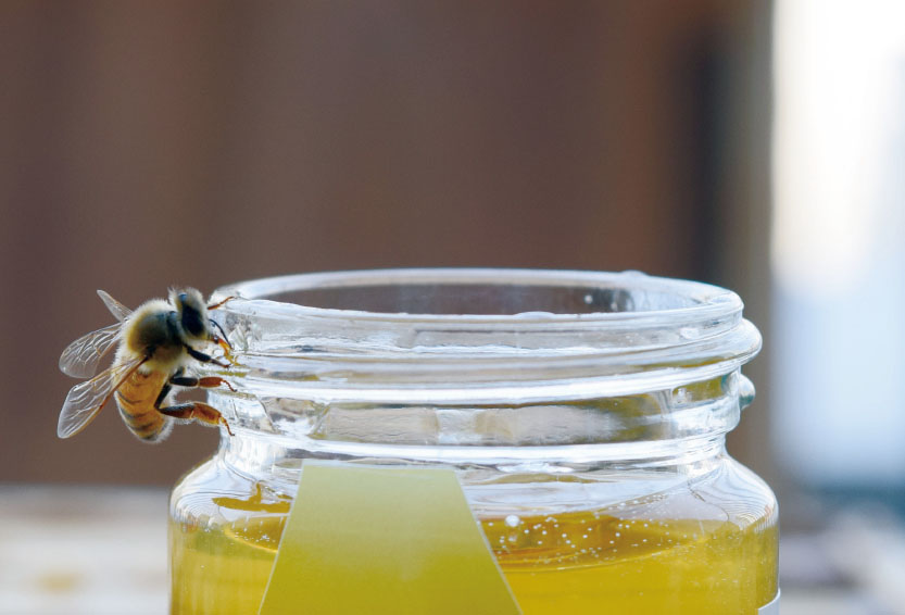 みつばちプロジェクト | しんじゅQuality