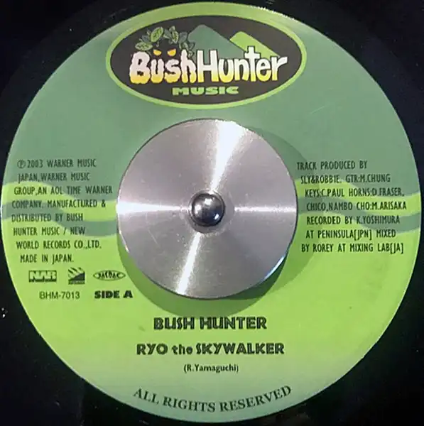 BUSH HUNTER MUSICレーベル / メーカーの商品一覧：アナログレコード