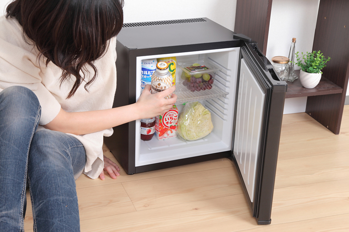 ペルチェ式 20リットル 1ドア電子冷蔵庫 SR-R2003 | SunRuck