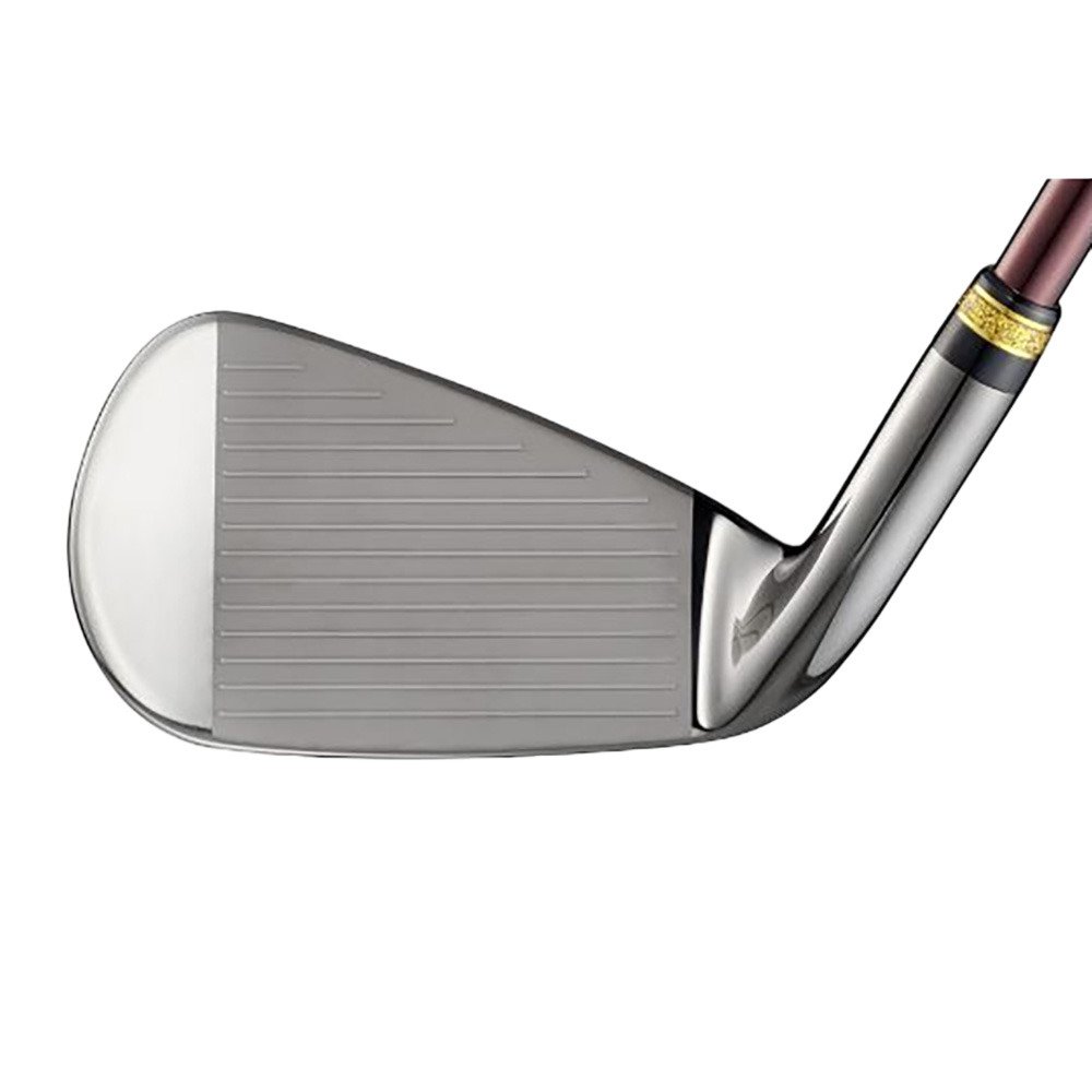 マジェスティ（MAJESTY）（メンズ）プレステジオ13 アイアン(AW