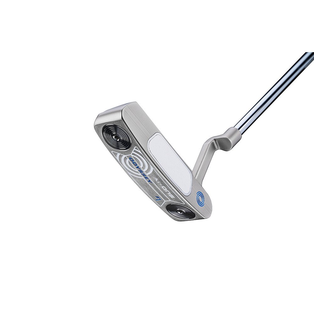 オデッセイ（ODYSSEY）（メンズ）Ai-ONE エーアイワン シルバー 1CH