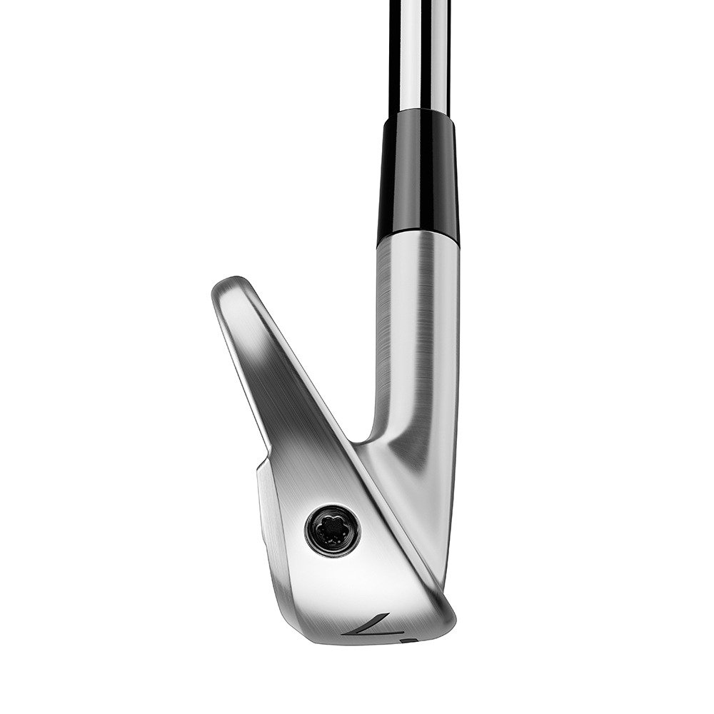 テーラーメイド（TAYLORMADE）（メンズ）P770 アイアンセット5本(6I