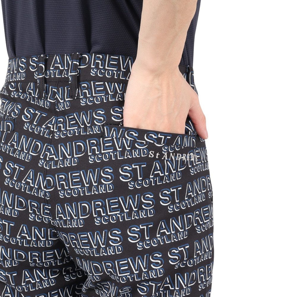 セントアンドリュース（ST.ANDREWS）（メンズ）ゴルフウェア デジタル