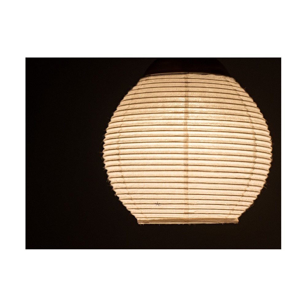 スノーピーク（snow peak） たねほおずき 提灯シェード 蕾 FES-450