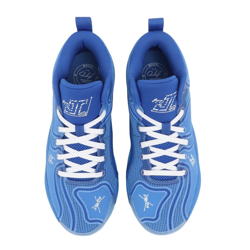 ジョーダン（JORDAN）（メンズ）バスケットシューズ バッシュ テイタム