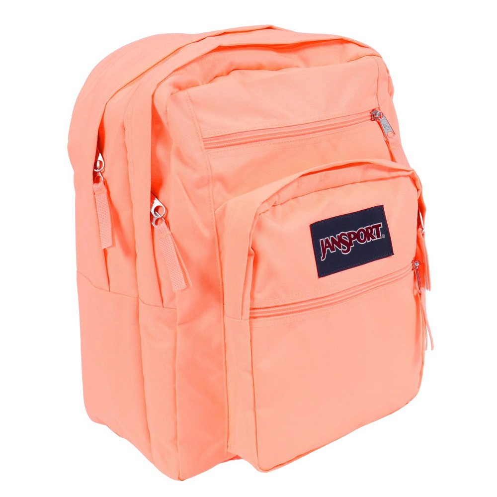 ジャンスポーツ（JANSPORT）（メンズ、レディース）バックパック