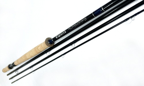 ロッドのページ