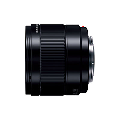 Panasonic H-X09 LEICA DG SUMMILUX 9mm / F1.7 ASPH. - 業務用撮影