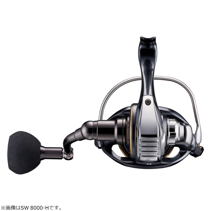 ダイワ カルディア SW 8000-P 23年追加モデル - 釣具のポイント 【公式