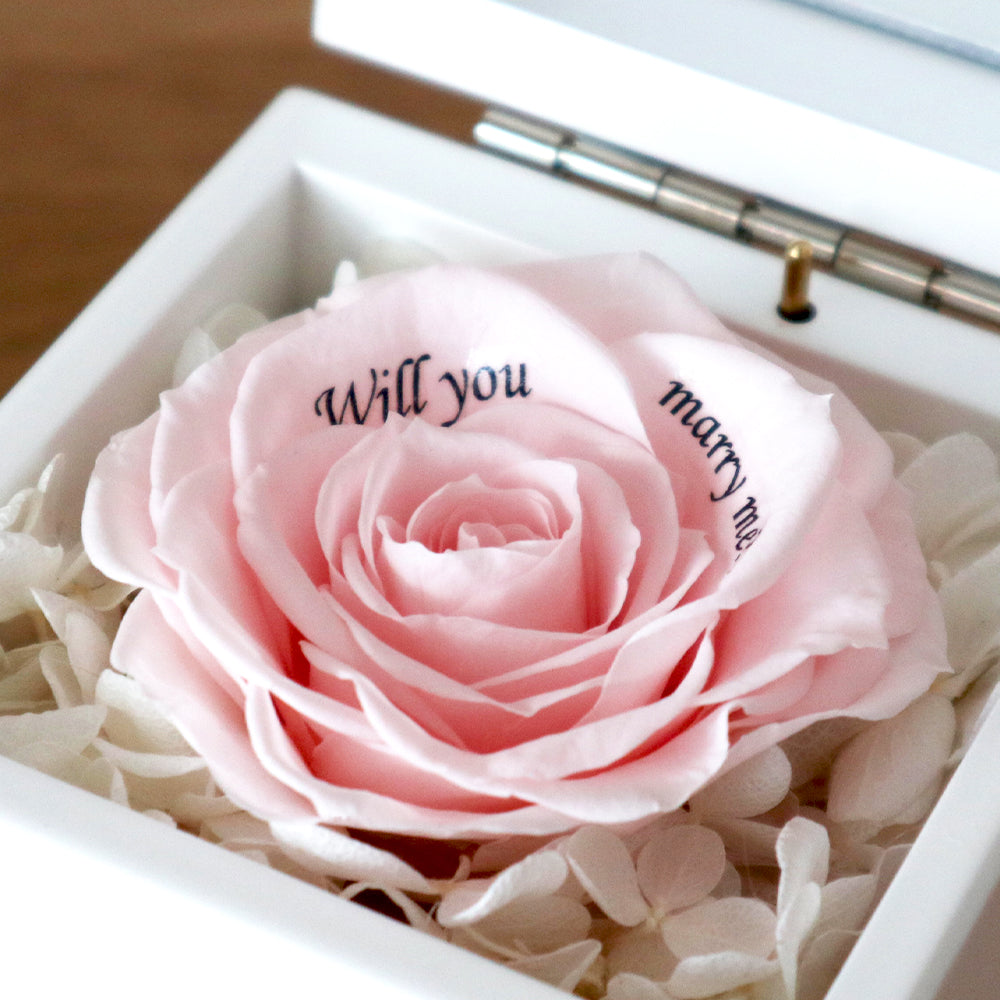 ミニ高級オルゴールボックス プロポーズ用 – パティスリーフラワー