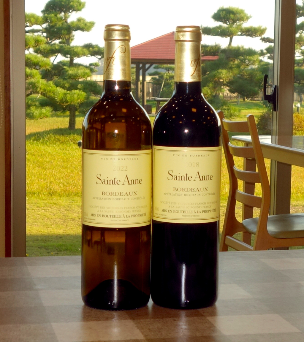 超激レア非売品】 EXPO 2025 アメリカパビリオ ワインタンブラー 超激