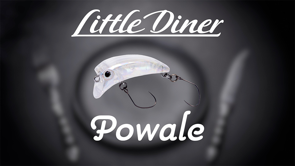 PALMS ｜ 株式会社パームス