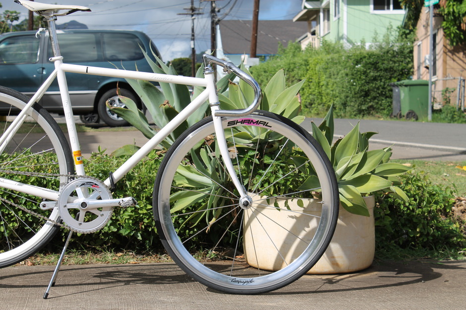 My Fuji Feather (6th) - Pedal Room