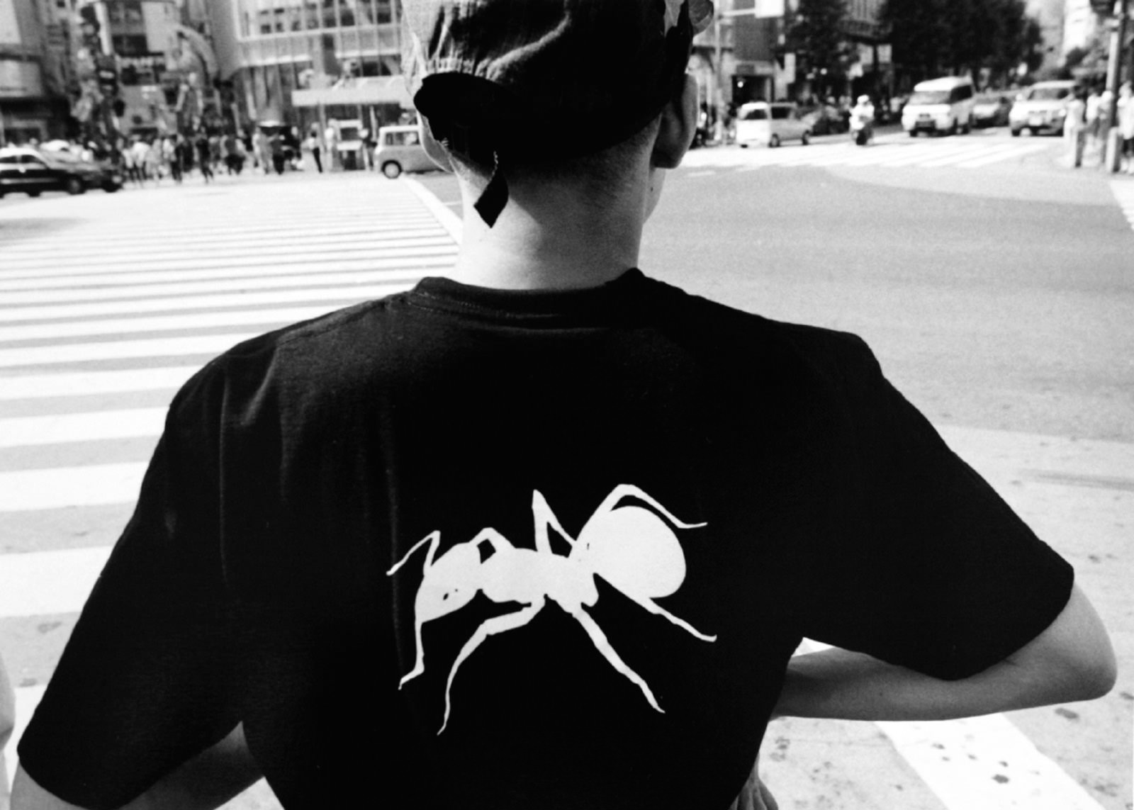 PGI | シブヤ、シブヤ