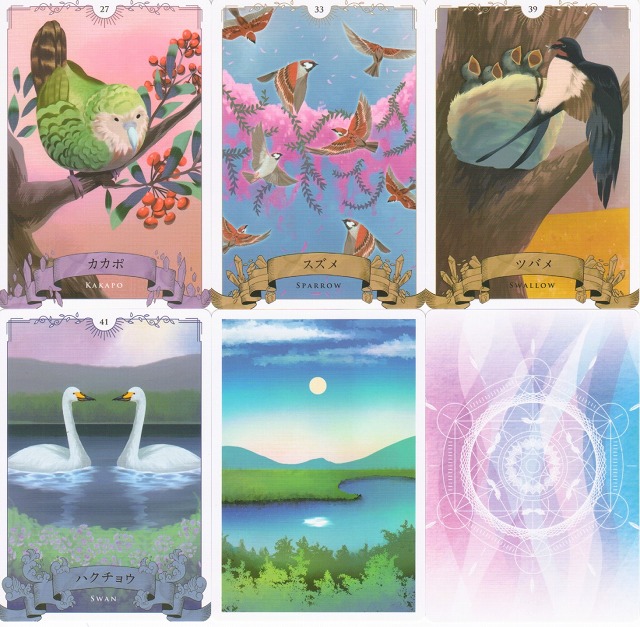 バードオラクル』（専用日本語解説書付き） 商品詳細｜タロットカード