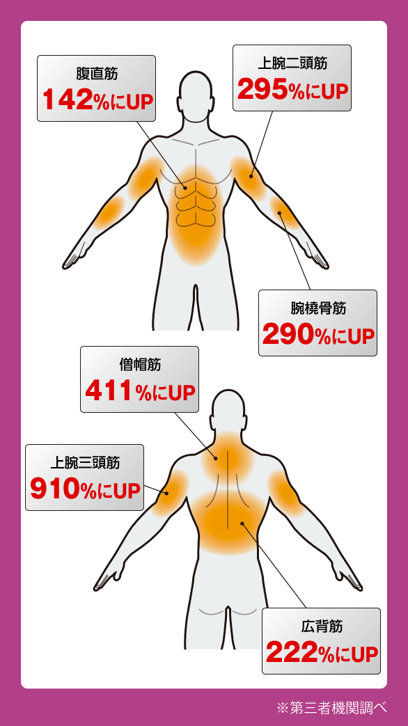 コアラウンジ ウルトラ | TVショッピング | プライムダイレクト