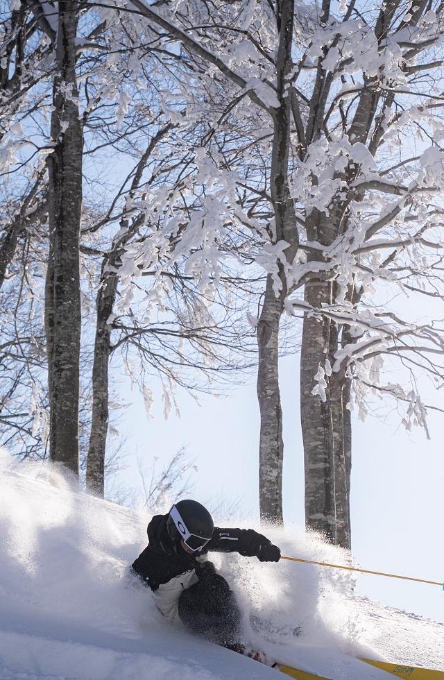 公式サイト | 六日町 八海山スキー場