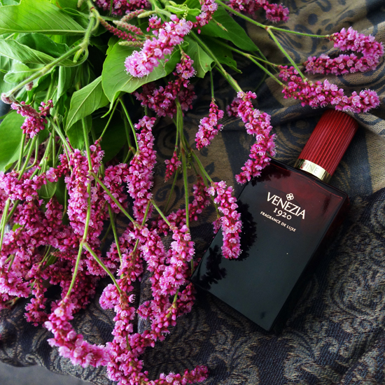 Divine / ディヴィーヌ