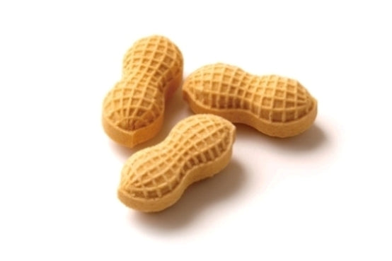 きなこのPちゃん 12個入 — ピーナッツサブレー本舗 千葉とみい