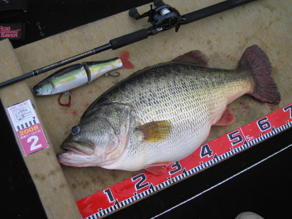 CUSTOM - RomanMade【ロマンメイド】