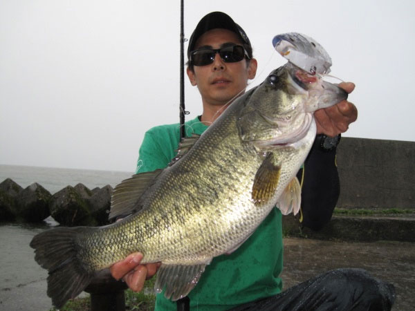 PRODUCTS - RomanMade【ロマンメイド】