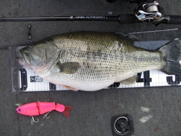 TRICK - RomanMade【ロマンメイド】